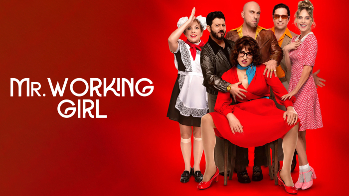 Mr.Working Girl